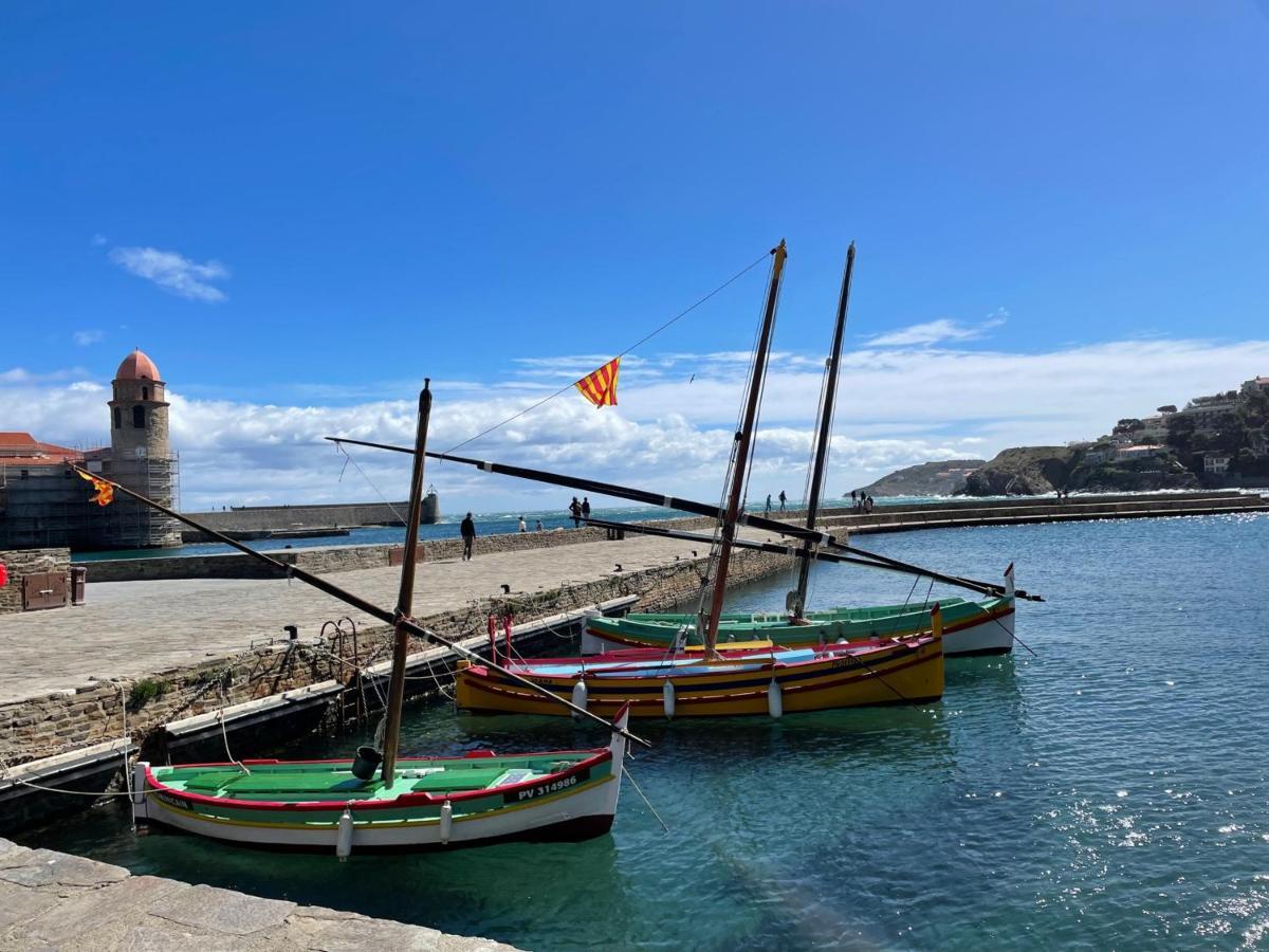 Studio Cabine A Collioure, A 100M De La Plage Et Des Commerces - Fr-1-309-153 외부 사진